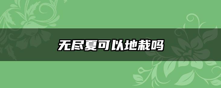 无尽夏可以地栽吗