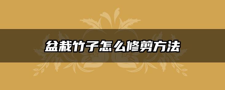 盆栽竹子怎么修剪方法