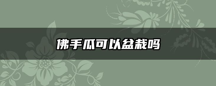 佛手瓜可以盆栽吗