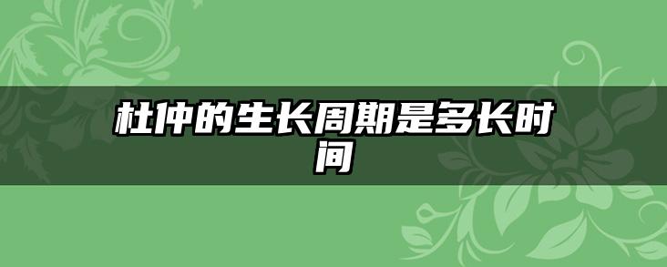 杜仲的生长周期是多长时间