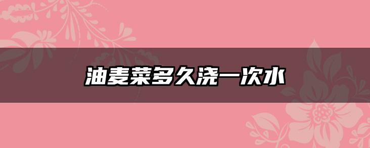 油麦菜多久浇一次水