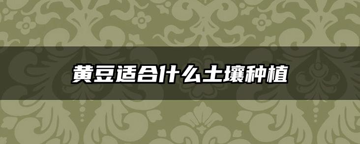 黄豆适合什么土壤种植