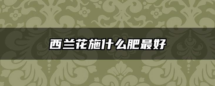 西兰花施什么肥最好