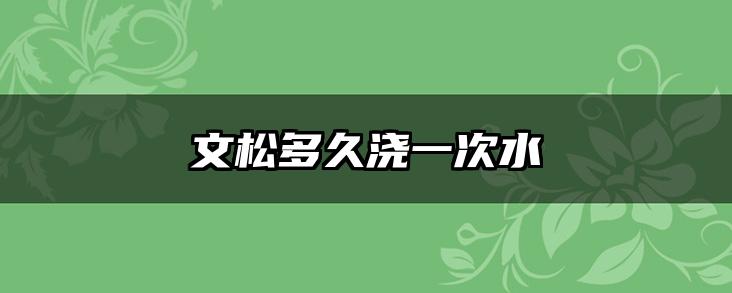 文松多久浇一次水