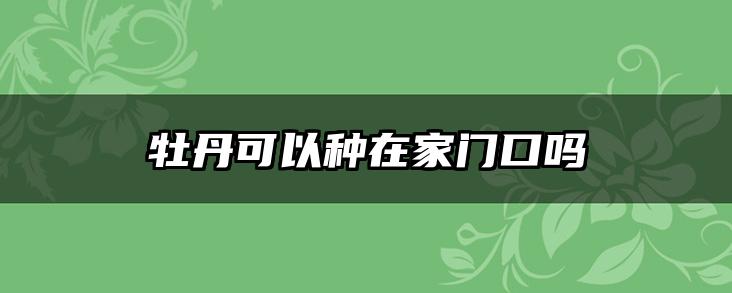 牡丹可以种在家门口吗