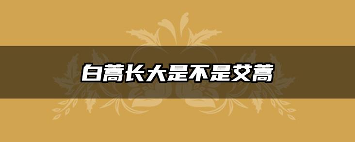 白蒿长大是不是艾蒿