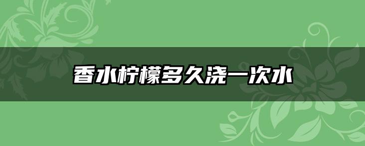 香水柠檬多久浇一次水