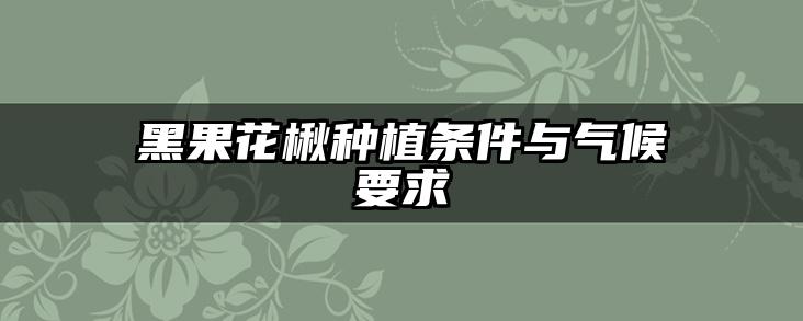 黑果花楸种植条件与气候要求