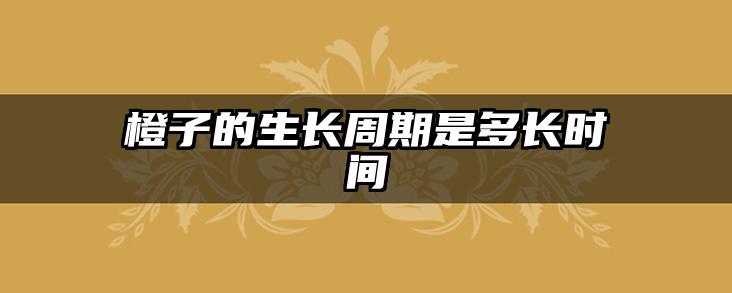橙子的生长周期是多长时间