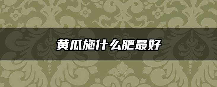 黄瓜施什么肥最好
