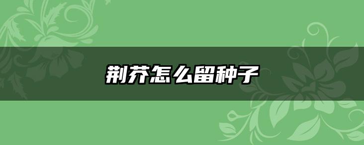 荆芥怎么留种子
