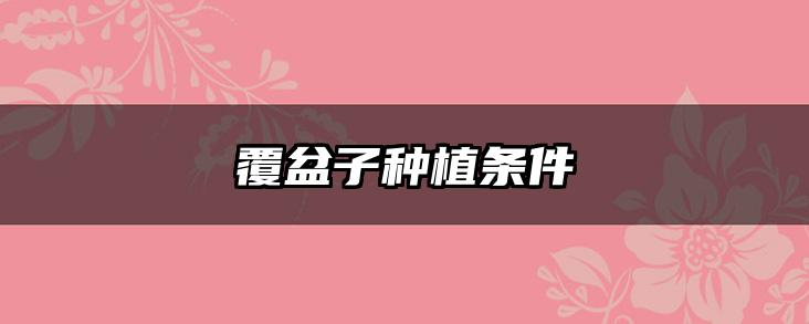 覆盆子种植条件