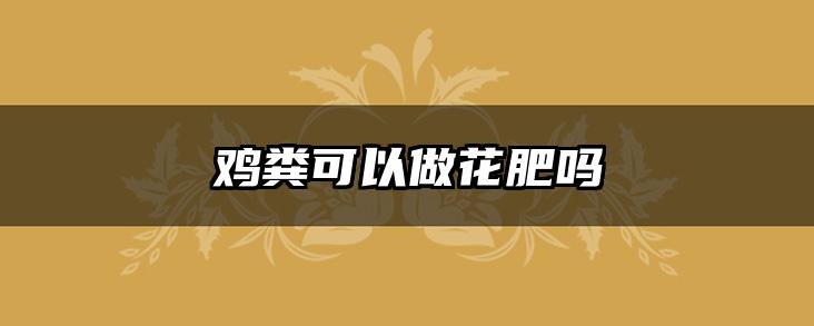 鸡粪可以做花肥吗