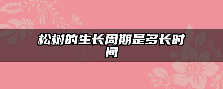 松树的生长周期是多长时间