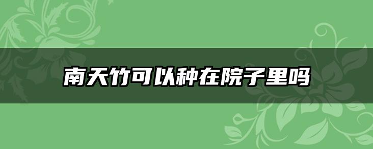 南天竹可以种在院子里吗