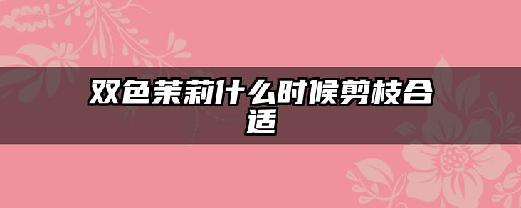 双色茉莉什么时候剪枝合适