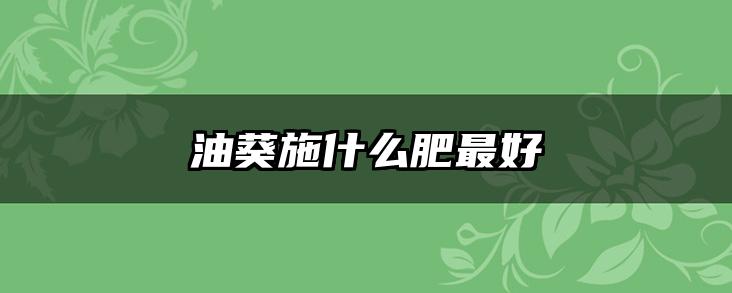 油葵施什么肥最好