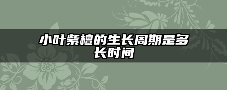小叶紫檀的生长周期是多长时间