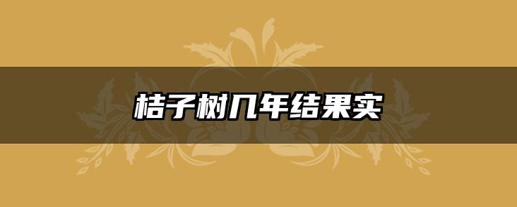 桔子树几年结果实