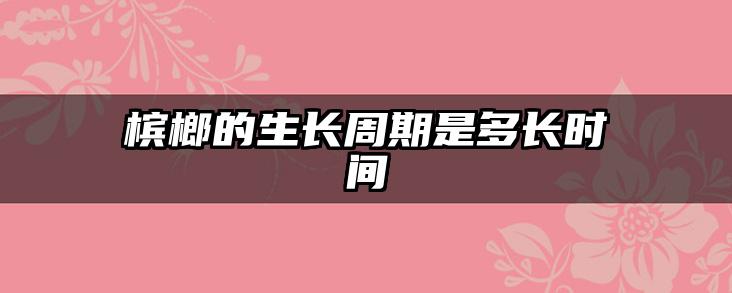 槟榔的生长周期是多长时间