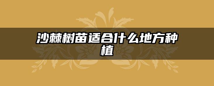 沙棘树苗适合什么地方种植