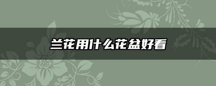 兰花用什么花盆好看