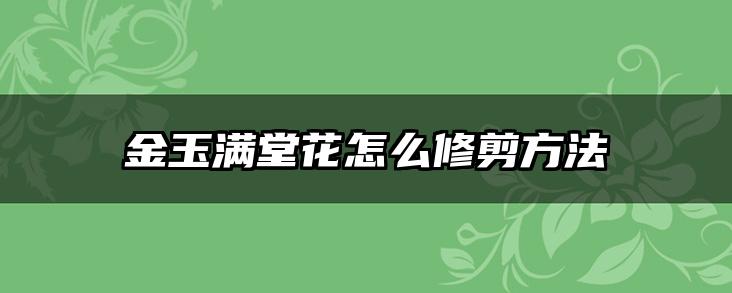 金玉满堂花怎么修剪方法