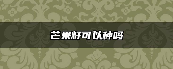 芒果籽可以种吗