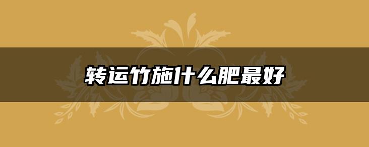 转运竹施什么肥最好