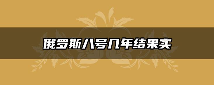 俄罗斯八号几年结果实
