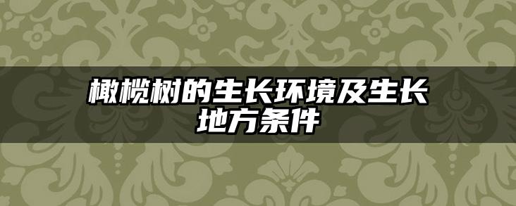 橄榄树的生长环境及生长地方条件
