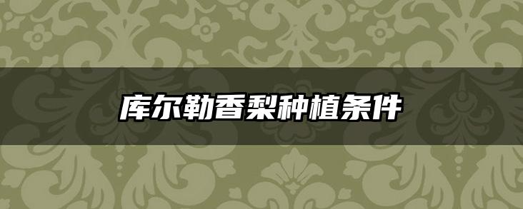 库尔勒香梨种植条件