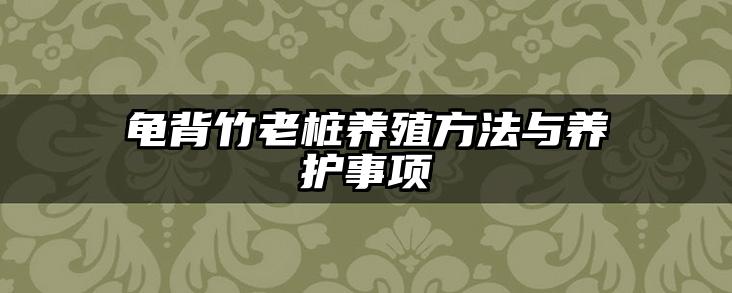 龟背竹老桩养殖方法与养护事项