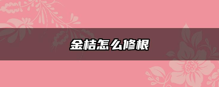 金桔怎么修根