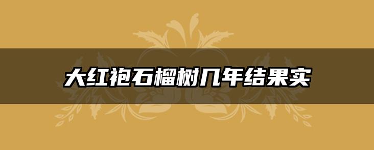 大红袍石榴树几年结果实