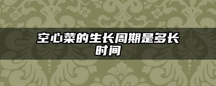空心菜的生长周期是多长时间