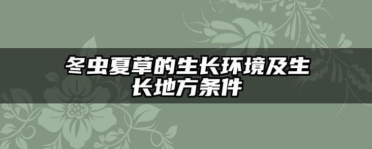 冬虫夏草的生长环境及生长地方条件