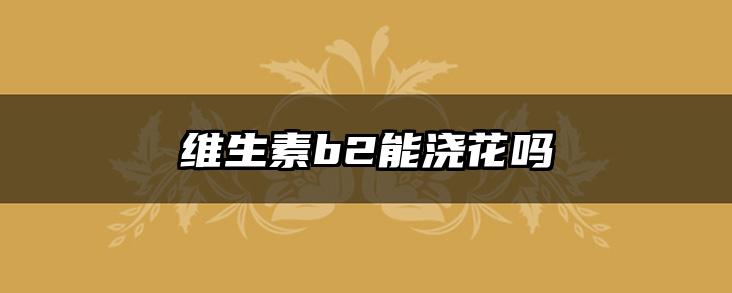 维生素b2能浇花吗
