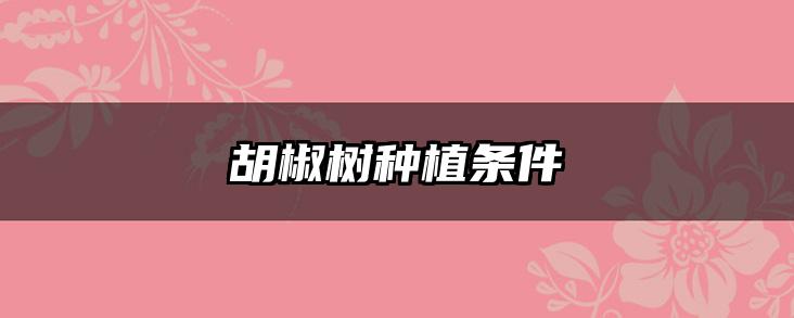 胡椒树种植条件