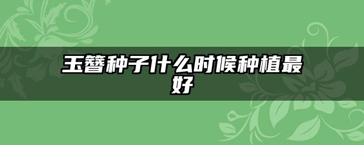 玉簪种子什么时候种植最好