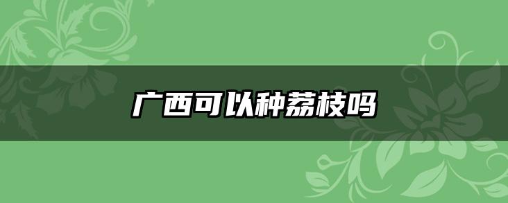 广西可以种荔枝吗