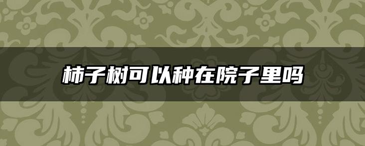 柿子树可以种在院子里吗