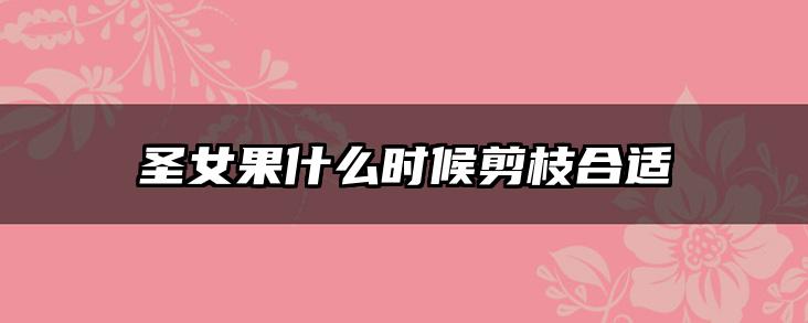 圣女果什么时候剪枝合适