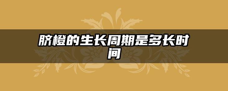 脐橙的生长周期是多长时间