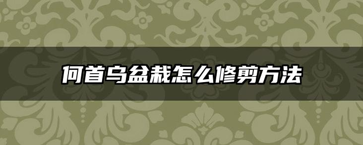 何首乌盆栽怎么修剪方法