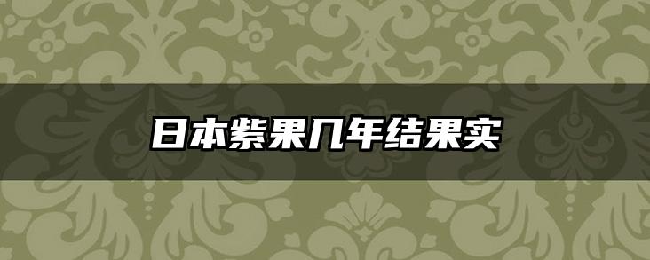 日本紫果几年结果实