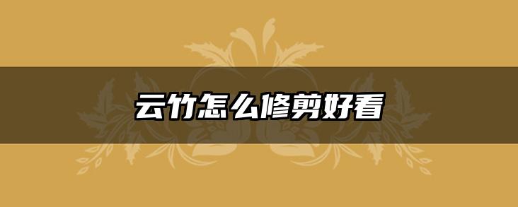 云竹怎么修剪好看