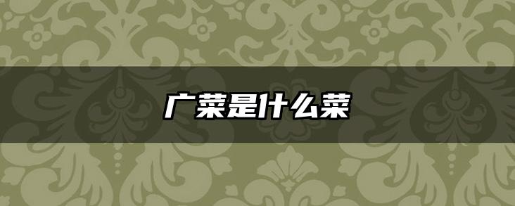 广菜是什么菜