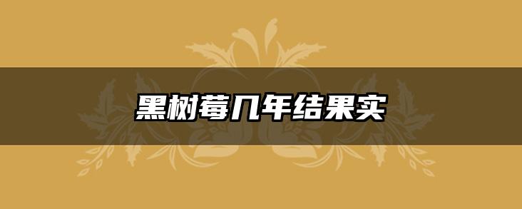 黑树莓几年结果实