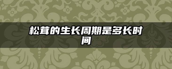 松茸的生长周期是多长时间